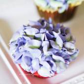 hydrangea cupcake blue