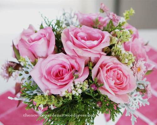 pink roses in arrangement