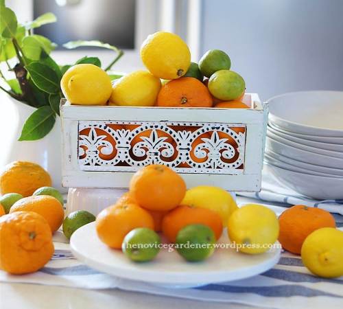 lemons, limes, and tangerines