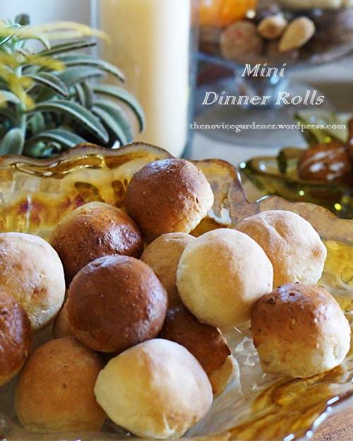 mini dinner rolls