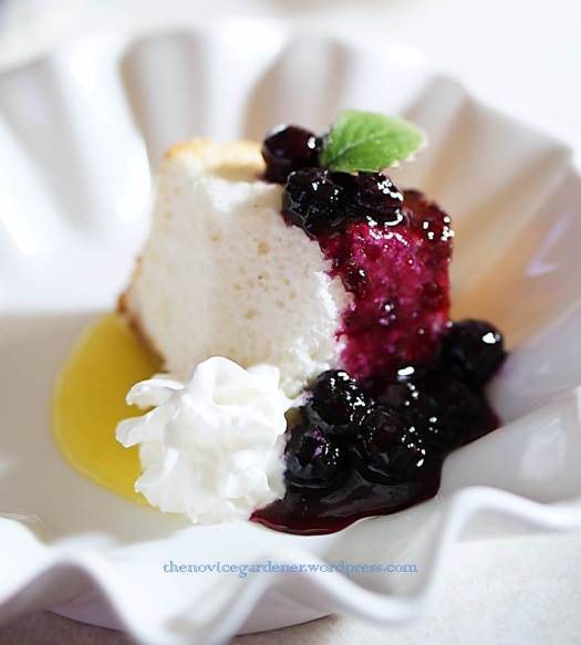 angel food cake with lemon and blueberry sauce